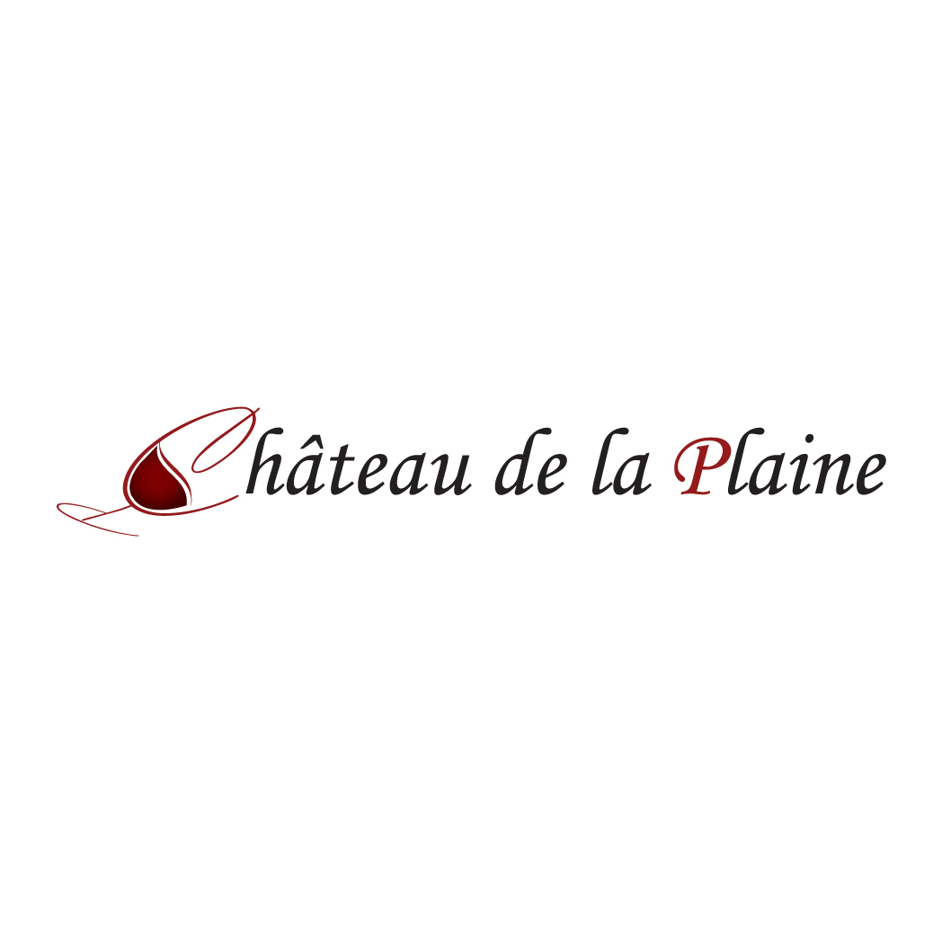 Chateau de la plaine